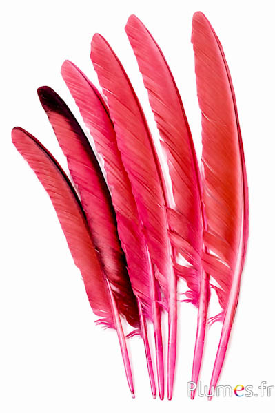 Pfau blau - 35-42 cm - rosa-braun